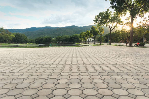 Best Driveway Paver Repair  in Milan, NM