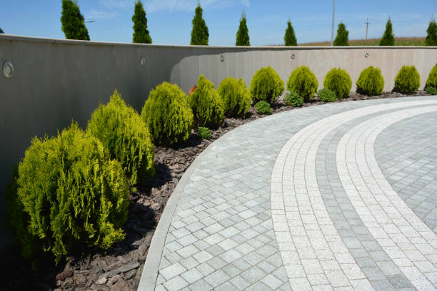 Best Custom Driveway Pavers  in Milan, NM