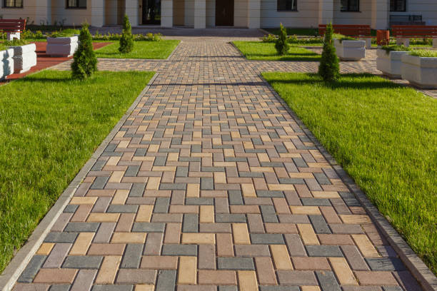 Best Local Driveway Pavers  in Milan, NM